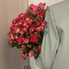 esra_el24