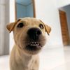 apffk93174