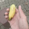 esdawet_smsta