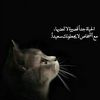 اقتباسات🖤