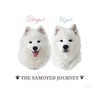 thesamoyed.journey