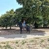 abrahamcoyotl746