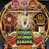 putrieverstar