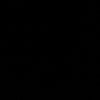 bimaa20133