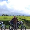 sandiahmad2342