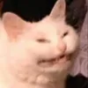 tietchane