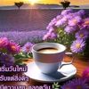 user6301283142650