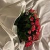 3rj_209