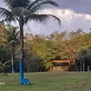 kelloliveira82
