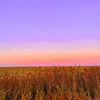 dv_11070