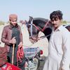 shareefbaloch666