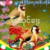 yaungzin14