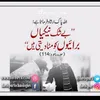 saleemtanveer0