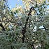 samir.qarayev.057