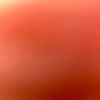 abogoboga_121