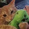 itoxcbro_333