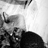 oghene_fegho_
