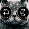 disturbed_chris
