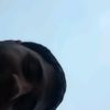 rehim_abdulloglu