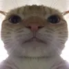 jglung