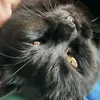 justmonica123