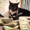 cheshire_cat_onelove