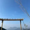 jessietran96