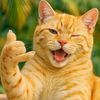 kucing_oyen2104