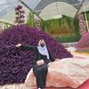 ina_afiyya1311