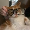 charliwee11