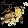 abdalkreem.salim