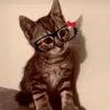 immnot_nicolexd