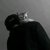 davnixxx