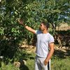 selim5_8