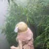 _hlmt