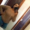 leonorah18