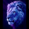 firdausabdulsid45
