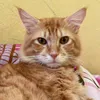 hablinarioh