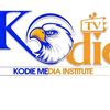 revagyeikodietv