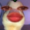 aurasafira32