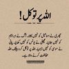 sheikhzara145