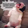 si.nguyenngoc4444