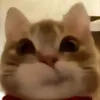75ah.n