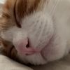 cooperkat123