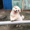 Lucky