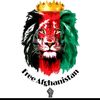 matiullaharab935