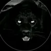 black tiger