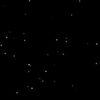 random_human431