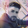 alman25_
