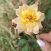 andrijana59